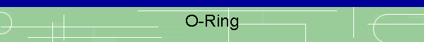 O-Ring